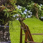 I Am Boutique Hotel Campos Do Jordao By Unna